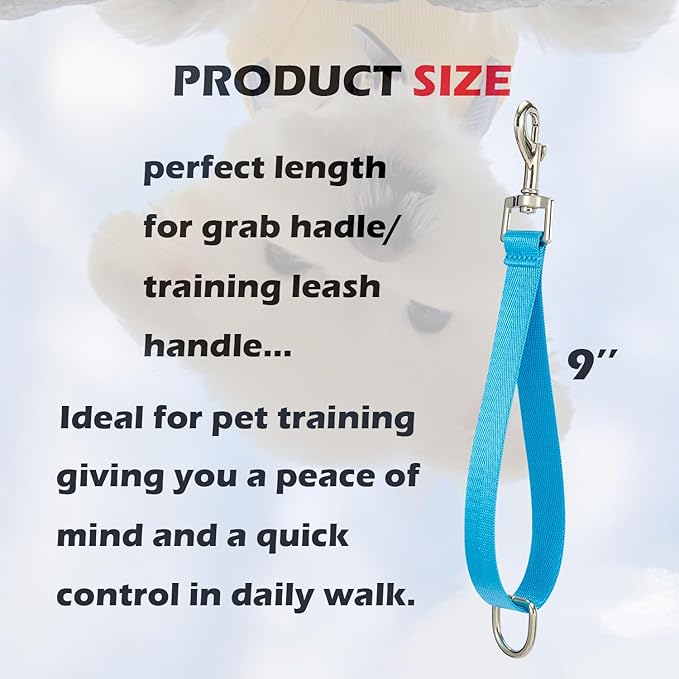 Short Dog LeashTraffic Dogs LeashesTraining Lead - Pet Dogs Traffic Grab Handle Dog Grab Tab Training Tab 2 Pack Nylon Pets Lead (Black & Sky Blue)