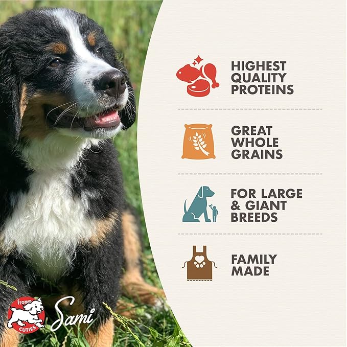 Fromm Large Breed Puppy Gold Premium Dry Dog Food - Dry Puppy Food for Large Breeds - Chicken Recipe - 30 lb