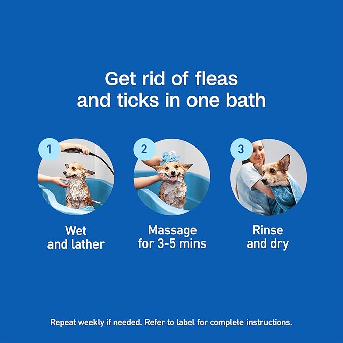 ADAMS Plus Flea & Tick Foaming Shampoo & Wash for Dogs & Puppies, Flea Shampoo to Treat Flea Infestations, Kills Ticks, Fleas, Flea Eggs & Lice, Cleans and Conditions Coat, 10 Ounces