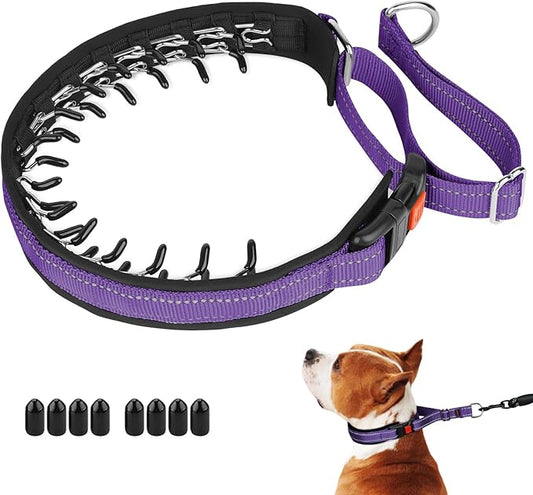 Mayerzon Martingale No Pull Collar for Medium Large Dogs, Patented Anti Pull Dog Collar with Buckle for Walking Training, with Reflective Stitching and Neoprene Padding, Adjustable(Purple, M)