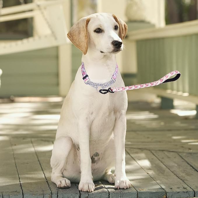 Martingale Dog Collar with Stainless Steel Chain - Limited Chain Cinch Training Collar for No Pull Training Dog - Flower Multicolor Cute Patterns - Premium No Slip Collar (XL, Peony Set)