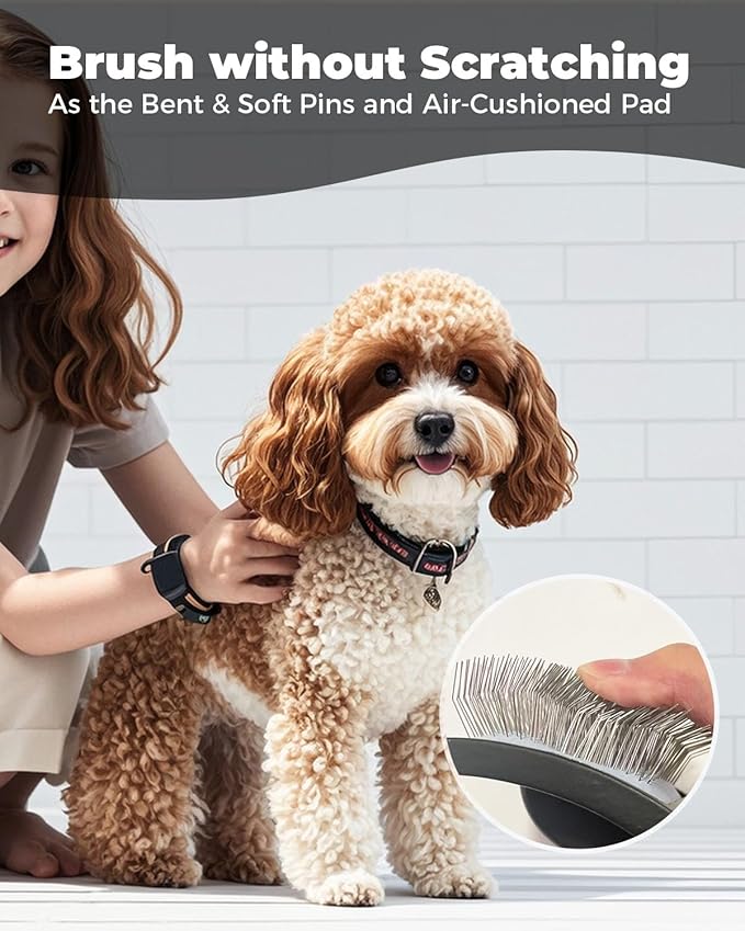 Professional Pet Slicker Brush for Long Haired Dogs&Cats Large Grooming Tool for Dematting, Detangling, Removes Loose Fur,Suitable for Doodles,Poodles,Goldendoodle, Labradoodle, Long Thick Curly Coats