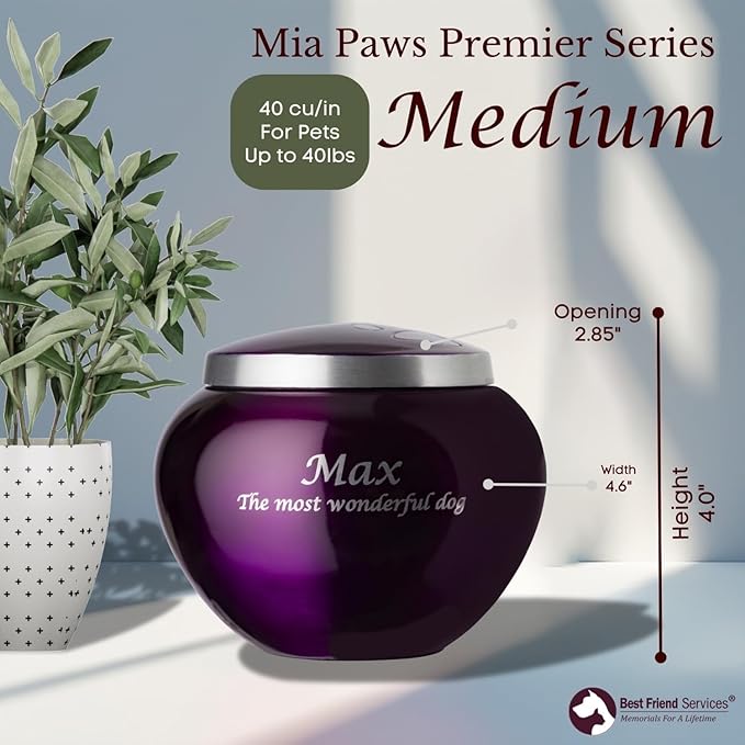 Mia Paws Premier Series Pet Urn for Dogs with Personalized Laser Engraving (Medium - Pets up to 35 lbs, Deep Purple, Double Pewter Paws)