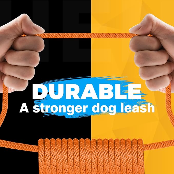 FASTFOX Dog Training Leash, 6ft x 1/2 Inch Slip Lead Loop for Small Medium Large Dogs, No Pull 3-in-1 (Orange)