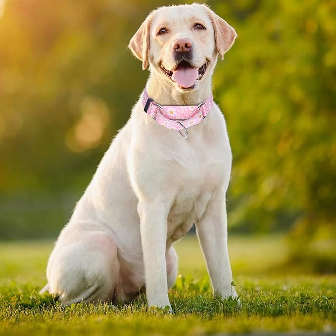 Pink Daisy Martingale Dog Collar for Large Dogs, No-Slip Escape Proof Choke No Pull Cinch Soft Nylon Training Dog Collars Adjustable for Small Medium Large Breed Pet Dogs, L