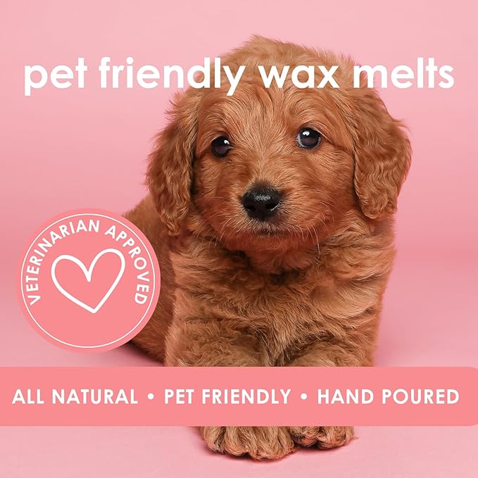 Pet Safe Wax Melts for Dogs | Non Toxic Soy Wax Melts | Natural, Paraffin-Free, Clean Burning | Odor Eliminating Wax Cubes | Best Dog Mom