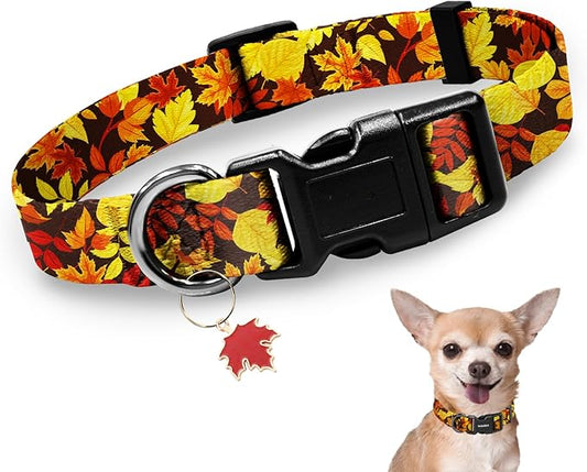 Kazazoo Dog Collar Cute and Soft Nylon Puppy Collar for Boy and Girl, Adjustable Dog Collars for Small Medium Dogs, Maple Leaf-XS