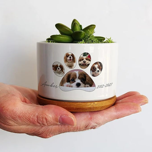 Customized Dog Memorial Picture Plant Pot Remembrance Gifts With Heartfelt Sentimental Quote Loss Plaque In Loving Memory of Dog Cat Plant Pot for Outdoor Sympathy Pawprints Pet Decor Gifts