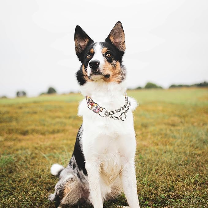 Choke Collar for Dogs - Cartoon Dog Adjustable Training Slip Collar with Chain, Anti Pull Design for Medium & Large Dogs(XL)