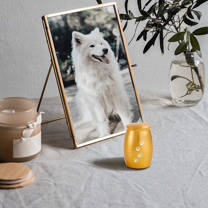 2.67 Inches Small Pet Cremation Urns for Dog Ashes,Tiny Urn for Dog or Cats Ashes,Mini Keepsake with Paw Print(Paw Gold)