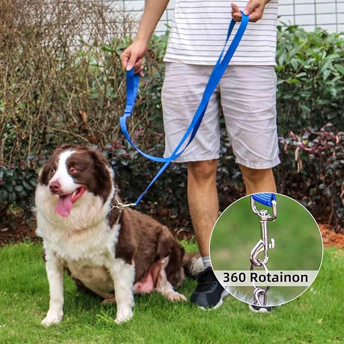 AMAGOOD 6 FT Puppy/ Dog Leashes, Traditional Style Leash with Easy to Use Collar Hook, Great for Small, Medium and Large Dogs (3/4 in x 6 ft, Pack of 1), Blue