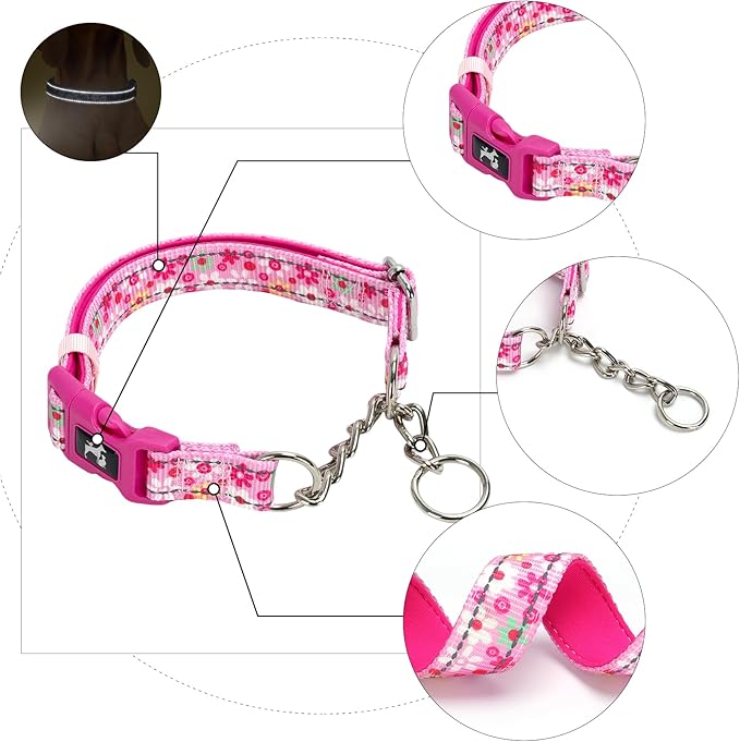 Martingale Dog Collar - Gentle Correction with No More Pulling - Strong 100% Stainless Steel Chain Softer, Padded Edges Nylon Stainless Chain Dog Collar - Medium