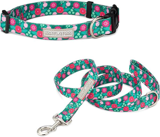 Lucky Love Dog - Adjustable Dog Collar and Leash Set with Easy Click Buckle for Small Dogs, Durable, & Comfortable Collar for Male & Female Dogs, Puppies & Adult Ones - Penny Combo, Small