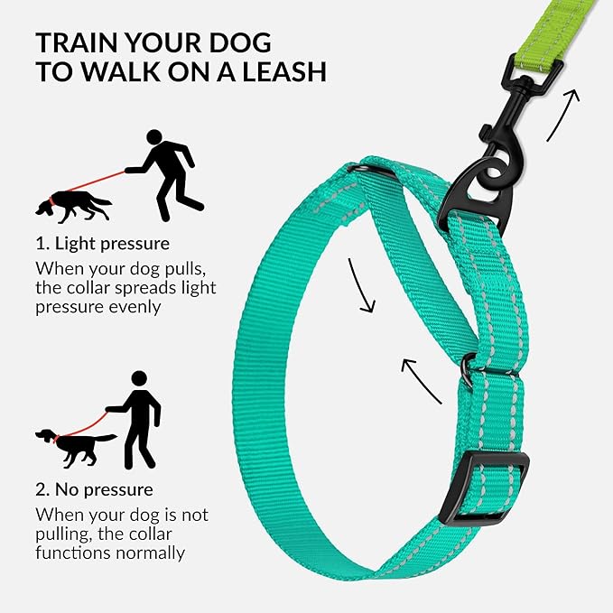Collardirect Reflective Martingale Dog Collar Nylon Training Collars for Small Medium Large Dogs Puppy Pink Orange Green (S, Neck Size 11"-15", Mint Green)