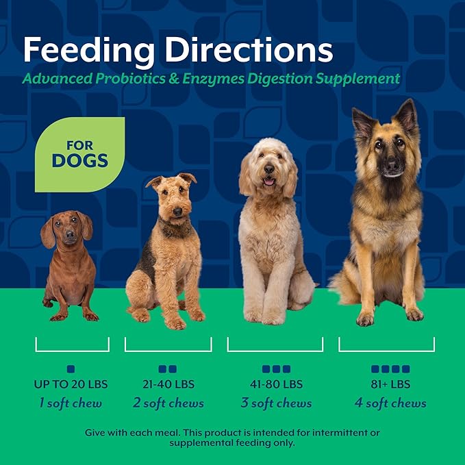 NaturVet Advanced Probiotics & Enzymes, PB6 Dog Soft Chews to Help Sensitive Stomachs and Digestive Issues, Hickory Smoked Bacon Flavored Pet Supplement for Dogs Over 6 Weeks, 120 Count Jar