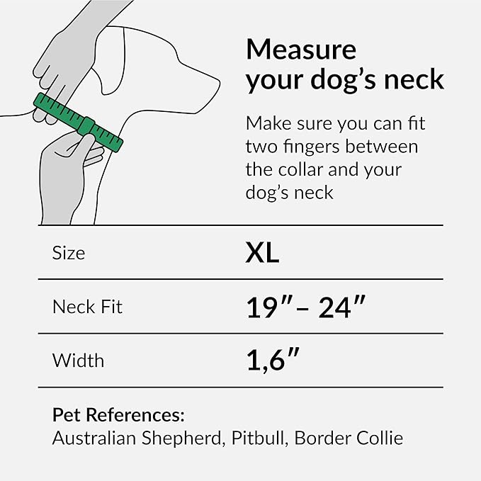 CollarDirect Martingale Collars for Dogs Heavy Duty Floral Pattern Female Safety Nylon Training Wide Collar Flower Design Large Medium (XL, Neck Size 19"-24", Pink)