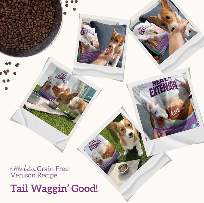 Health Extension Grain Free Venison & Sweet Potato Little Bites Small Kibble Formula with 30+ Superfoods Lean Protein, and Probiotics for Teacups, Toys & Miniature Dogs (12 lb)