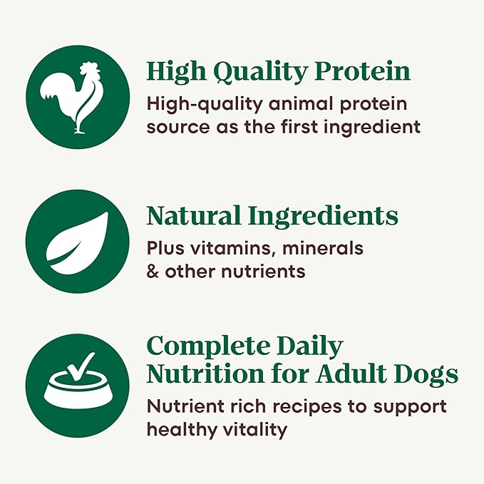 Nutro Adult Wet Dog Food, Natural Grain Free Dog Food Wet Cuts in Tender Chicken, Sweet Potato & Pea Stew Recipe, 3.5 oz. Trays (Pack of 24)
