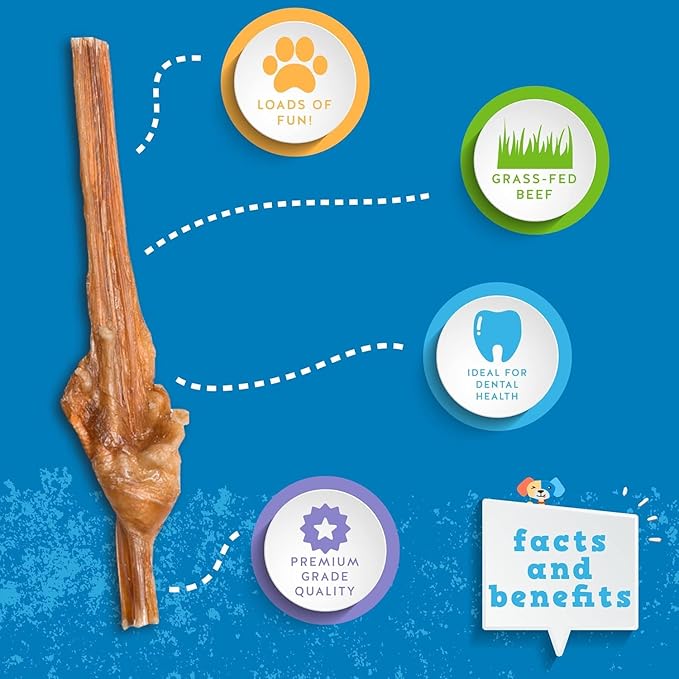 Jack&Pup 6 Inch Bladder Bully Sticks for Small Dogs (5 Pack) Single Ingredient Dog Treats, Puppy Chew Sticks