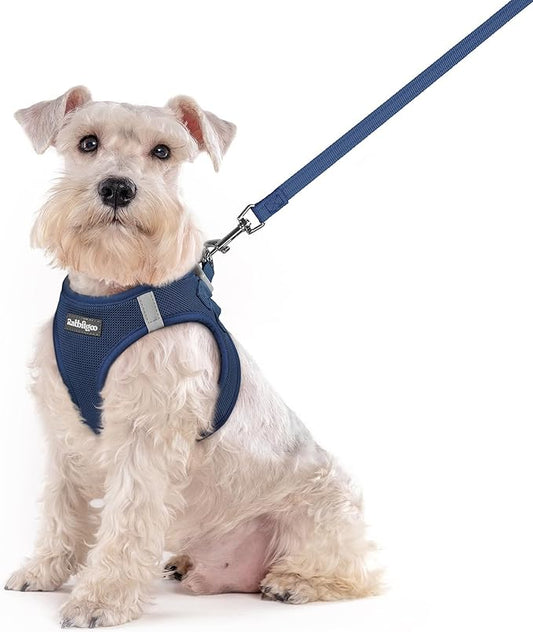 rabbitgoo Dog Harness Small Sized and Leash Set, Step in Soft Light Puppy Vest, Breathable Mesh Pet Harness, Reflective for Outdoor Safe Walking, Navy Blue XXL