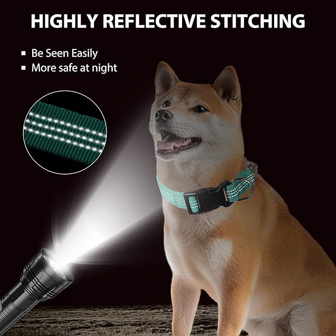 Martingale Dog Collar with Quick Release Buckle Steel Chain No Pull Training Reflective Collar for Medium Large Dogs(Teal, Large)