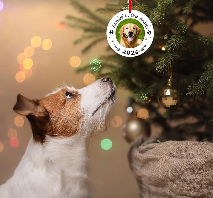 WaaHome Picture Frame Dog Memorial Christmas Ornaments 2026 - Forever in Our Hearts Personalized Pet Memorial Ornaments for Christmas Tree, Pet Remembrance Gifts for Loss of Dogs Cats Pets