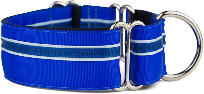 If It Barks - 1.5" Martingale Collar for Dogs - Adjustable - Nylon - Strong and Comfy - Ideal for Training - Made in USA - Custom, Blueberry