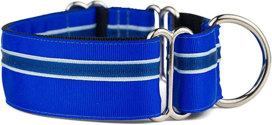 If It Barks - 1.5" Martingale Collar for Dogs - Adjustable - Nylon - Strong and Comfy - Ideal for Training - Made in USA - Medium, Blueberry