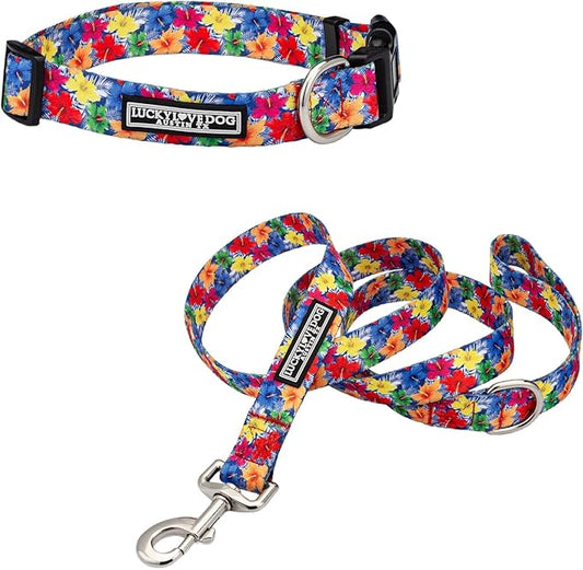Lucky Love Dog - Easy Click Buckle Dog Collar with Leash Set Combo, Durable & Comfortable for Male & Female Dogs, Pet Collar for Small Dogs, Secure Fit - Hana Combo, XS