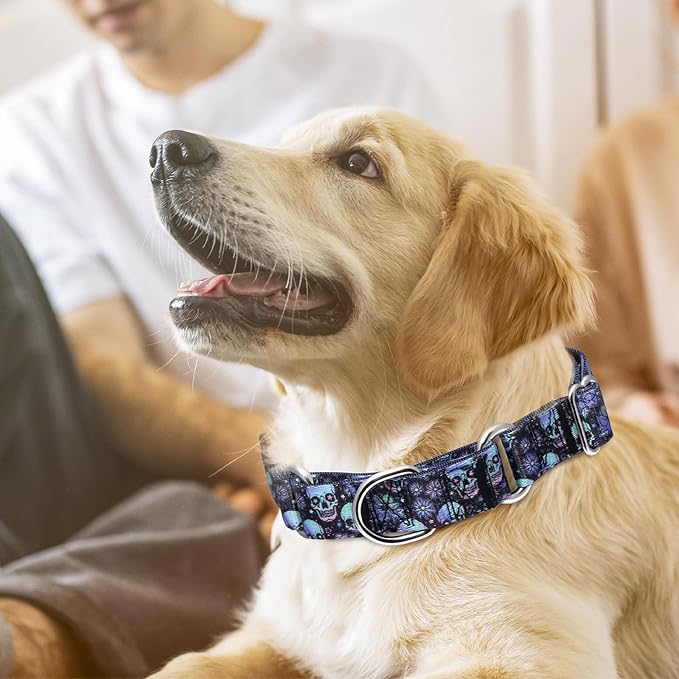 Martingale Dog Collar,Adjustable Nylon Heavy Duty Dog Collar for Small Medium Large Dog,Walking Training Boy and Girl Dogs