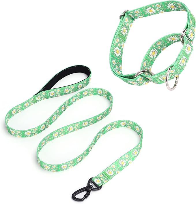 Martingale Collar for Medium Dogs, Girl Dog Collar with Daisy Flowers, Heavy Duty No Pull Dog Collar Floral Design Dog Training Collar, Perfect for Training, Walking, Hunting (Green + Leash, M)