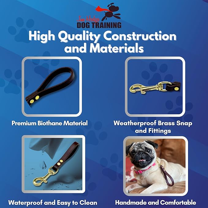 Biothane Training Tab Leash for Dogs, Brass Hardware, No Pull with Easy Grip Handle, Made in The USA, Professional Grade-Brown