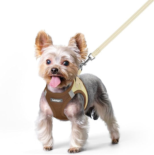 rabbitgoo Dog Harness Small Sized and Leash Set, Step in Soft Light Puppy Vest, Breathable Mesh Pet Harness, Reflective for Safe Easy Walking, Brown & Beige XS
