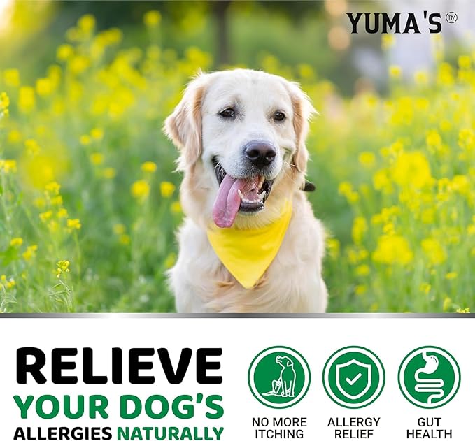 2-Pack Dog Allergy Relief Chews - Dog Itching Skin Relief Treatment Pills - Anti-Itch Chewables - Itchy and Paw Licking - Hot Spots - Omega 3 Fish Oil - Dry Skin & Coat Supplement