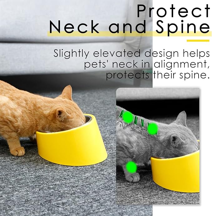SuperDesign Mess Free 15° Slanted Bowl for Dogs and Cats, Tilted Angle Bulldog Bowl Dog Feeder, Non-Skid & Non-Spill, Easier to Reach Food M/1 Cup Bright Yellow