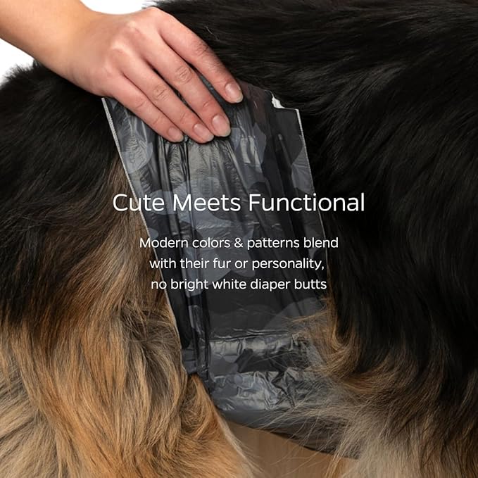 Pet Parents® DiPees® Disposable Belly Bands for Male Dogs + Extendrs®, Male Dog Wraps, Leak Proof, Up to 83% Plant Based, Premium Disposable Dog Diapers Male (Grey, Small (12-20"), 10ct)