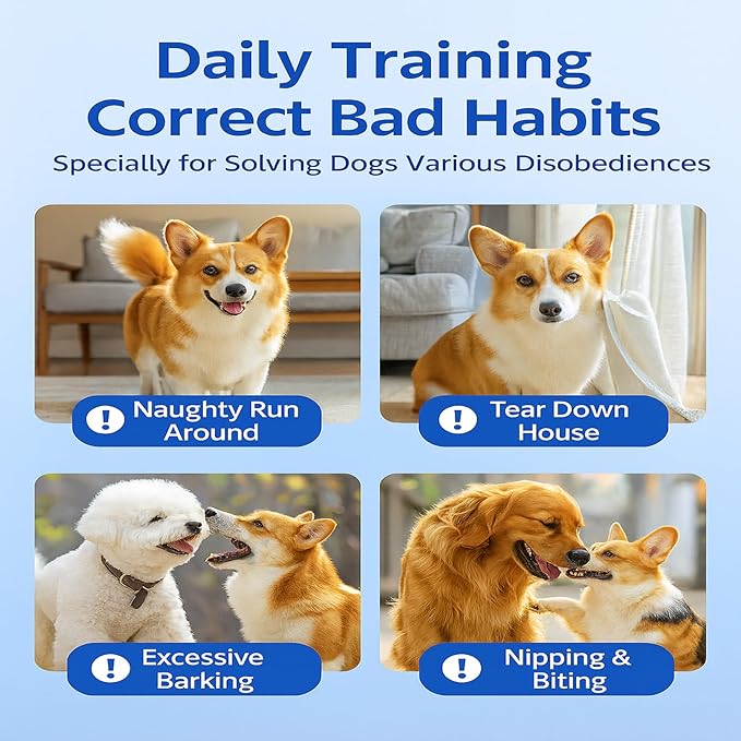Dog Training Stick for Puppies and Dogs, Flexible Exercise Stick, Obedience Training Tool(Blue)