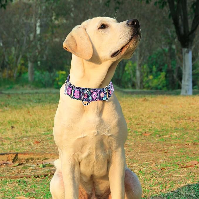 Martingale Dog Collar for Small Medium Large Pet Dogs，No-Slip Escape Proof Choke No Pull Dog Collar for Male and Female Dogs Walking Running Training -Bohemia Flowers L