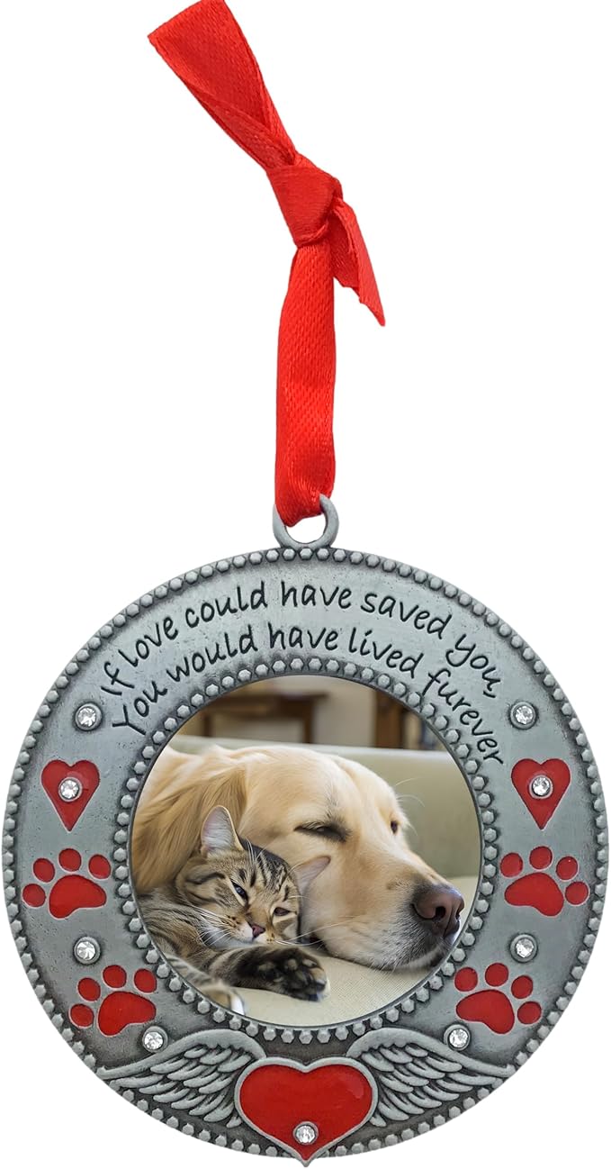 Pet Memorial Ornament - Custom Ornaments - Dog or Cat - Enameled & Jeweled with Red Hearts, Angel Wings & Paw Prints - Furever in My Heart - Gift Storage Bag Included - 3" D - Holds a 2" D Photo