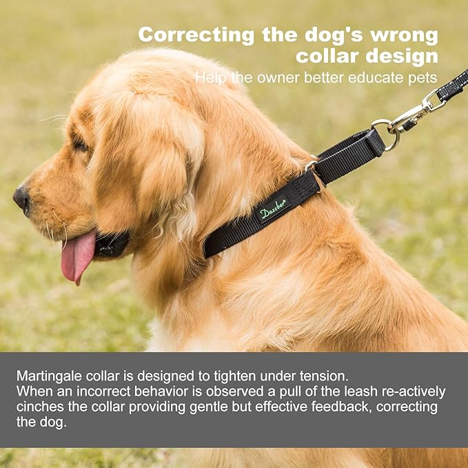 Martingale Dog Collar, No-Buckle Escape-Proof Design, Heavy-Duty Nylon and Welded D-Ring, Adjustable Training Collar for Medium Large Dogs (Classic Black, L)