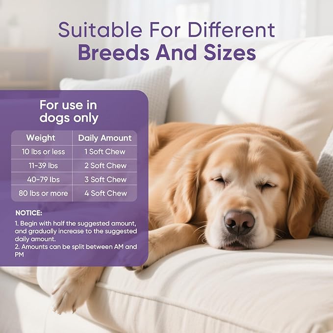 Calming Chews for Dogs 200pc Dog Calming Treat and Bites with Melatonin - Anxiety and Stress Relief Treats for Dogs Puppy Sleep Aid Calm Dog with Noise,Thunder,Barking,Separation,Chewing