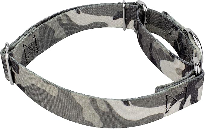 Country Brook Petz - Urban Camo Martingale Dog Collar - Camouflage Collection Featuring Rugged Designs (5/8 Inch, Small)