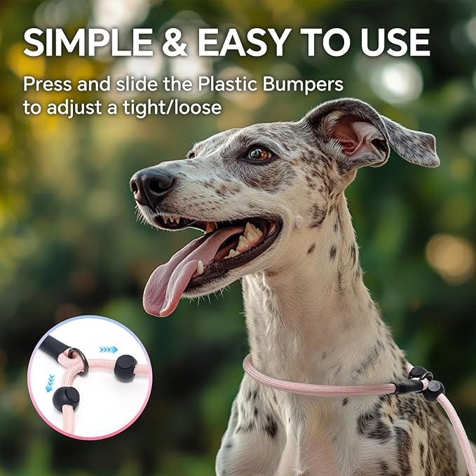 QQPETS Adjustable Slip Lead Dog Leash, Hands Free Waist Leash for Dog Walking, Reflective Training Lead with 360° Swivel Anti-Tangle, 4-7 ft Length for All Breeds