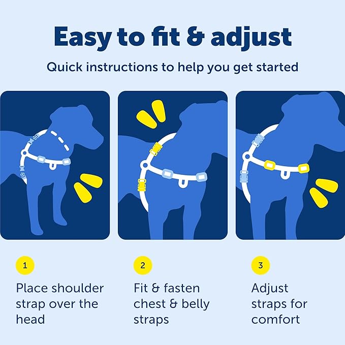 PetSafe Deluxe Easy Walk Harness - Trainer-Trusted Dog Chest Harness with Breathable Martingale Loop Design - Helps Stop Pulling with No Choking & Gagging - Large - Rose