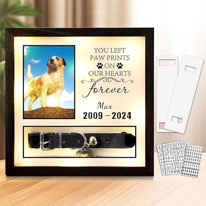 10"x10"Pet Collar Memorial Shadow Box Dog Picture Frame, Cat or Dog Memorial Gift Pet Sympathy Remembrance Gift Keepsake for Multi Sizes Dogs