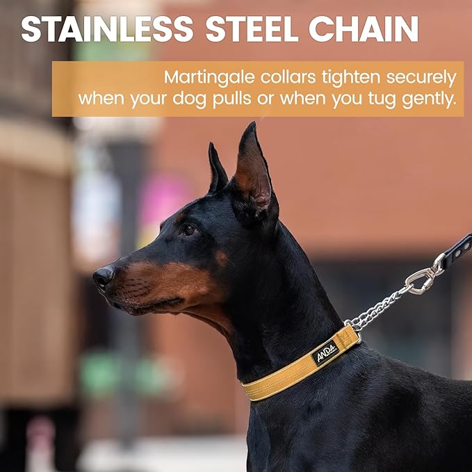 ANDA Martingale Collar for Dogs, Adjustable with Reflective Stainless Steel Chain, No-Pull Escape-Proof Training Collar for Medium and Large Breeds (Orange, Large)