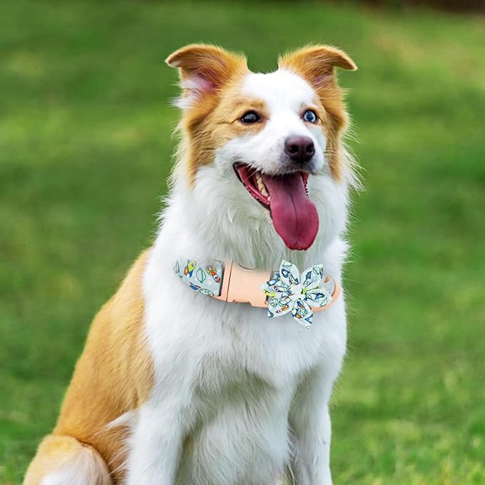 Dog Collar and Leash Set Adjustable Girls Puppy Floral Collars with Bow Tie for Small Medium Large Dogs(M, Rocket)