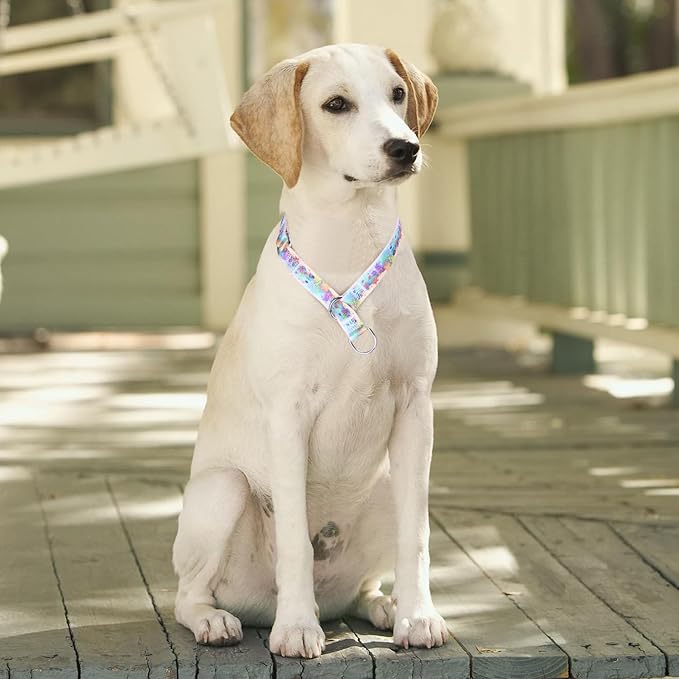 Training Dog Collar - No Pull Martingale, Slip With Slidable Stop Ring for Small, Medium, Large Dogs (L, Ocean)