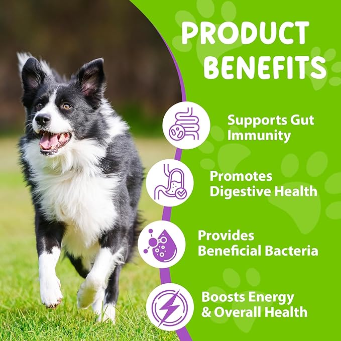Liquid Probiotics for Dogs, 3 in 1 Dog Probiotic Drops with Prebiotic & Digestive Enzymes | Digestive Gut Health, Immunity Support, Diarrhea & Constipation Relief | Dog Probiotic Supplements 60ml