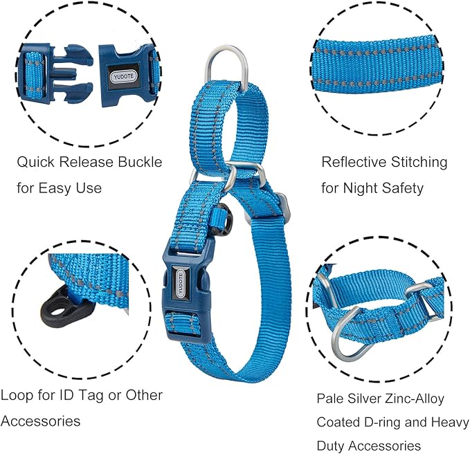 Reflective Martingale Collar for Dogs with Quick Snap Buckle Anti-Pull Nylon Safe Slip Collars for Easy Walking,Blue,Medium